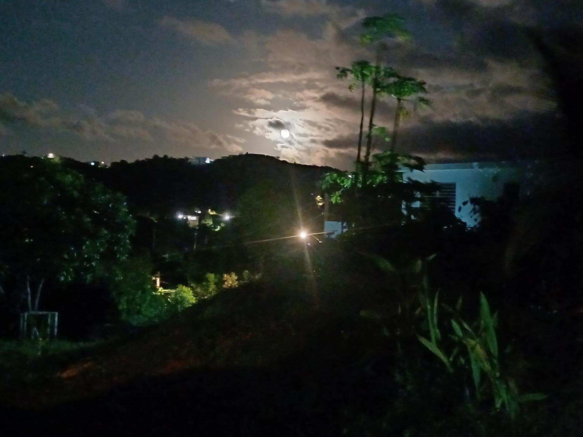 Rooster Run Glamping Camping Has Rooftop And Off The Ground Glamping Experience For 1 To 16 In A Single Tent And Views Of The Rain Forrest And To Culebra Across The Atlantic Ocean W Tents, Linens, Deluxe Air Beds, Warm Shower And More At A Great Pric Vieques Exterior photo