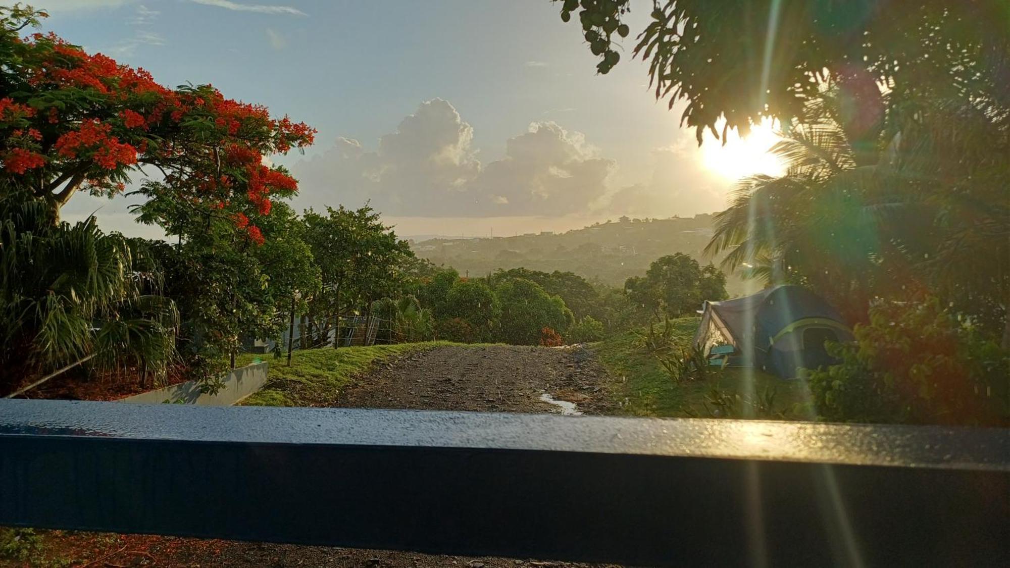 Rooster Run Glamping Camping Has Rooftop And Off The Ground Glamping Experience For 1 To 16 In A Single Tent And Views Of The Rain Forrest And To Culebra Across The Atlantic Ocean W Tents, Linens, Deluxe Air Beds, Warm Shower And More At A Great Pric Vieques Exterior photo