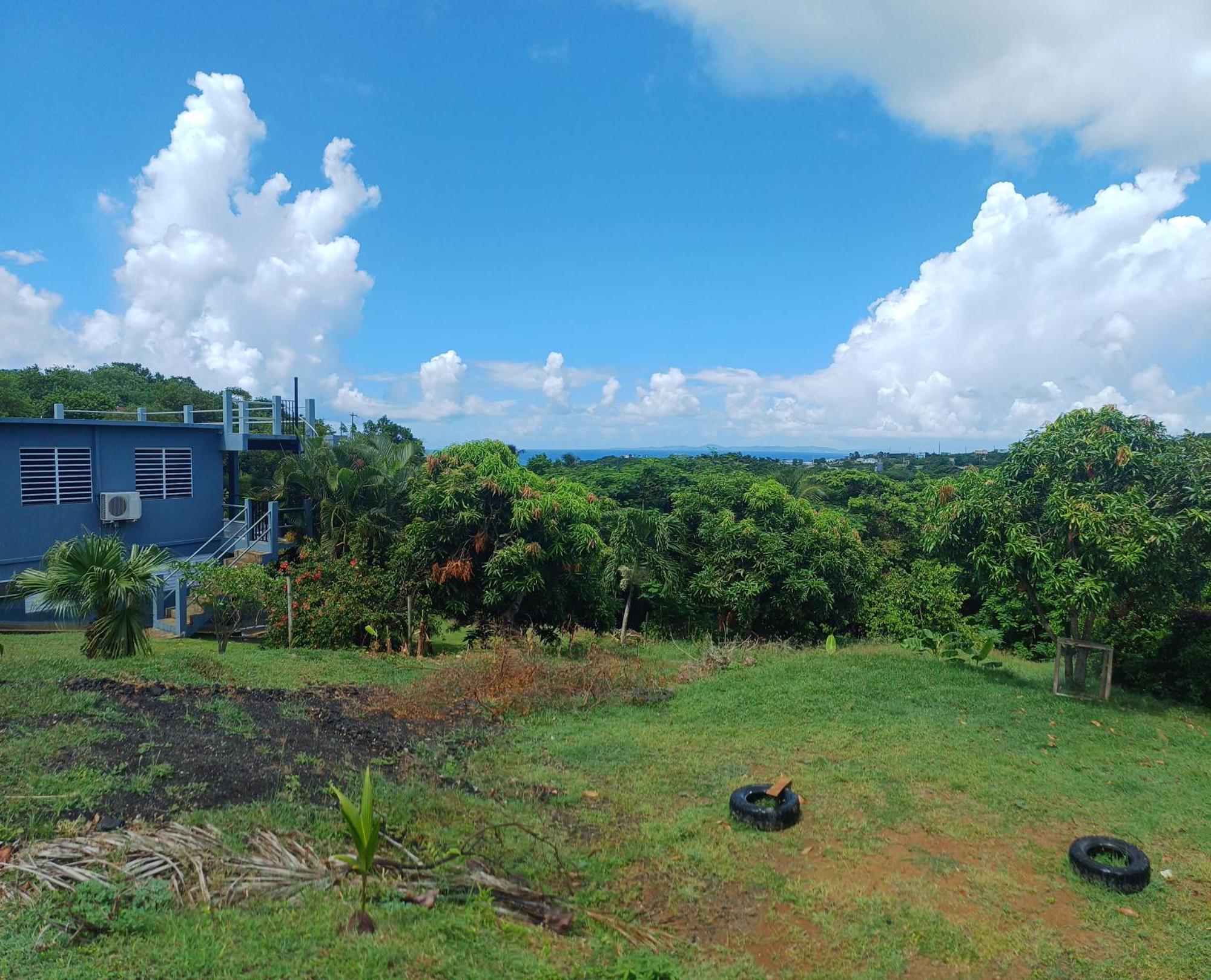Rooster Run Glamping Camping Has Rooftop And Off The Ground Glamping Experience For 1 To 16 In A Single Tent And Views Of The Rain Forrest And To Culebra Across The Atlantic Ocean W Tents, Linens, Deluxe Air Beds, Warm Shower And More At A Great Pric Vieques Exterior photo