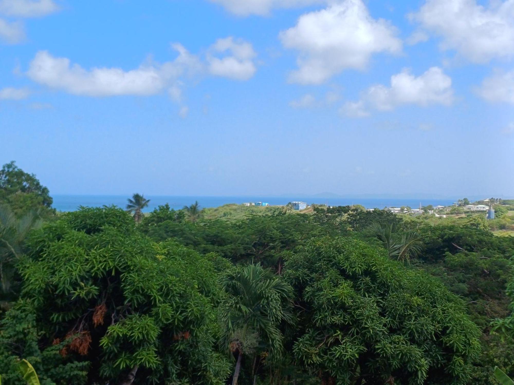 Rooster Run Glamping Camping Has Rooftop And Off The Ground Glamping Experience For 1 To 16 In A Single Tent And Views Of The Rain Forrest And To Culebra Across The Atlantic Ocean W Tents, Linens, Deluxe Air Beds, Warm Shower And More At A Great Pric Vieques Exterior photo