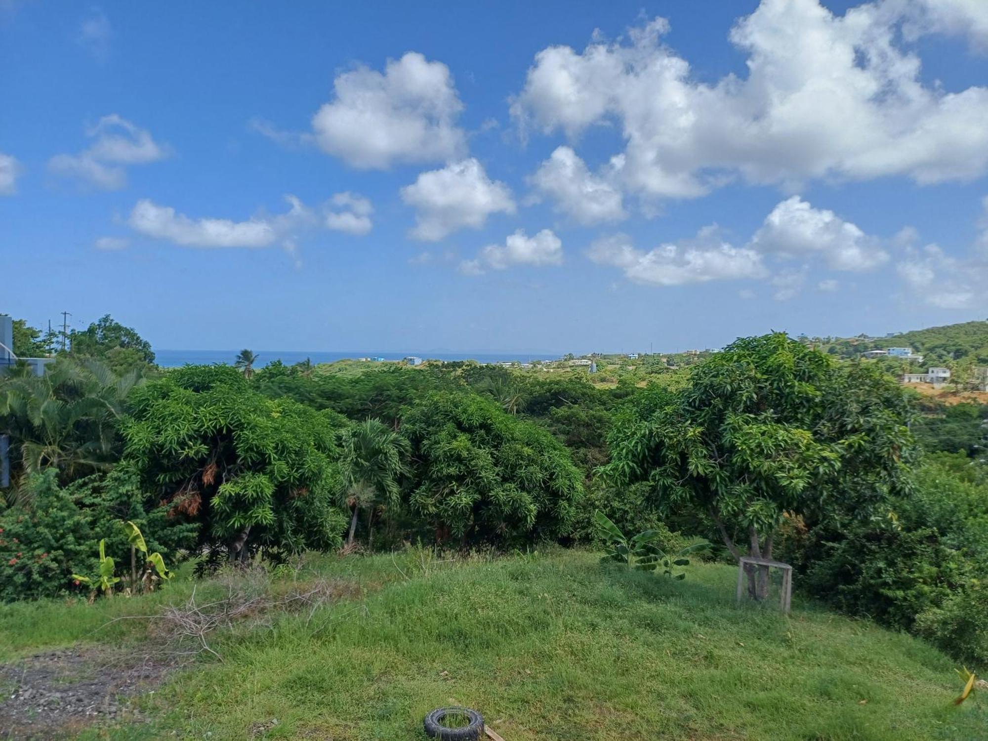 Rooster Run Glamping Camping Has Rooftop And Off The Ground Glamping Experience For 1 To 16 In A Single Tent And Views Of The Rain Forrest And To Culebra Across The Atlantic Ocean W Tents, Linens, Deluxe Air Beds, Warm Shower And More At A Great Pric Vieques Exterior photo