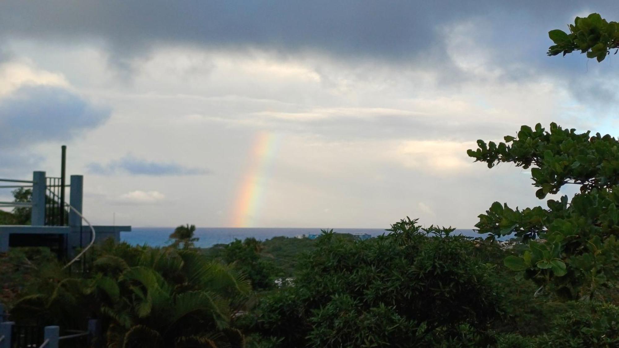 Rooster Run Glamping Camping Has Rooftop And Off The Ground Glamping Experience For 1 To 16 In A Single Tent And Views Of The Rain Forrest And To Culebra Across The Atlantic Ocean W Tents, Linens, Deluxe Air Beds, Warm Shower And More At A Great Pric Vieques Exterior photo